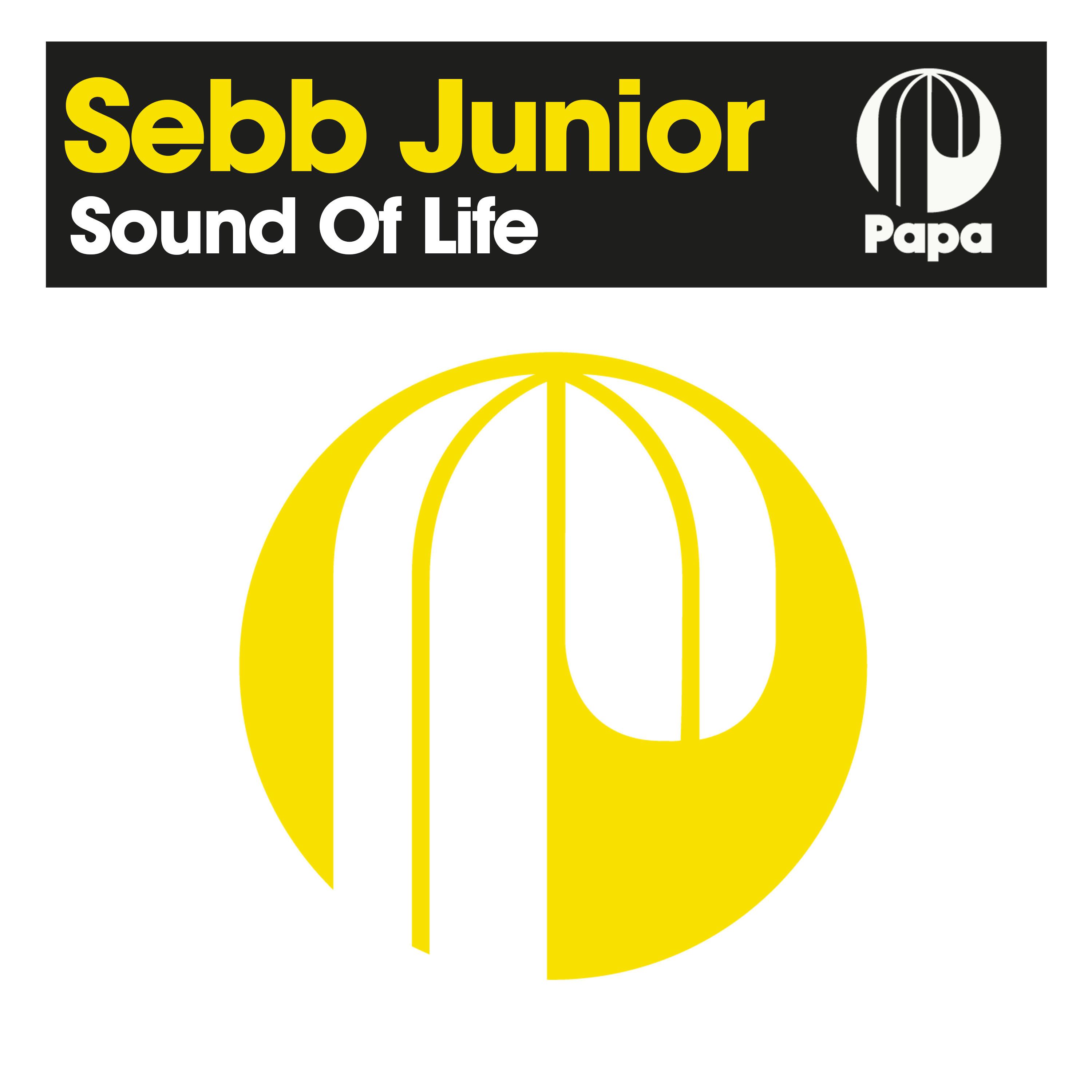 Sebb Junior - Sound Of Life (Original Mix Edit)