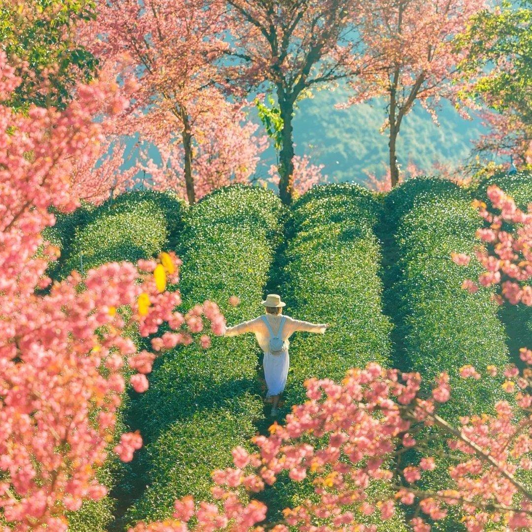 『Silence』花束满枝，春日出逃。