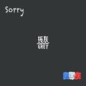 SORRY专辑