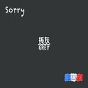 SORRY专辑