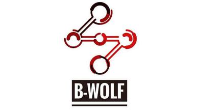 B-WOLF厂牌