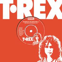 T Rex - Childen Of The Revolution (karaoke)