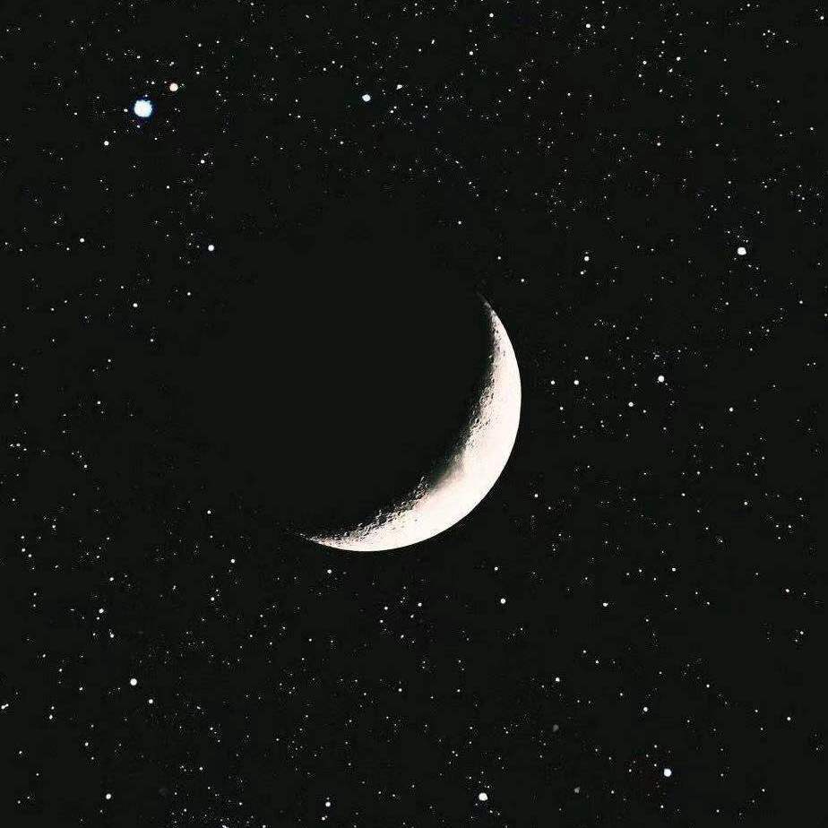 日月星辰不及你 - 张兆阳 - 单曲 - 网易云音乐