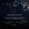 Metamorphose String Orchestra - Double Concerto for Piano, Violin and Strings in D Minor:I. Allegro