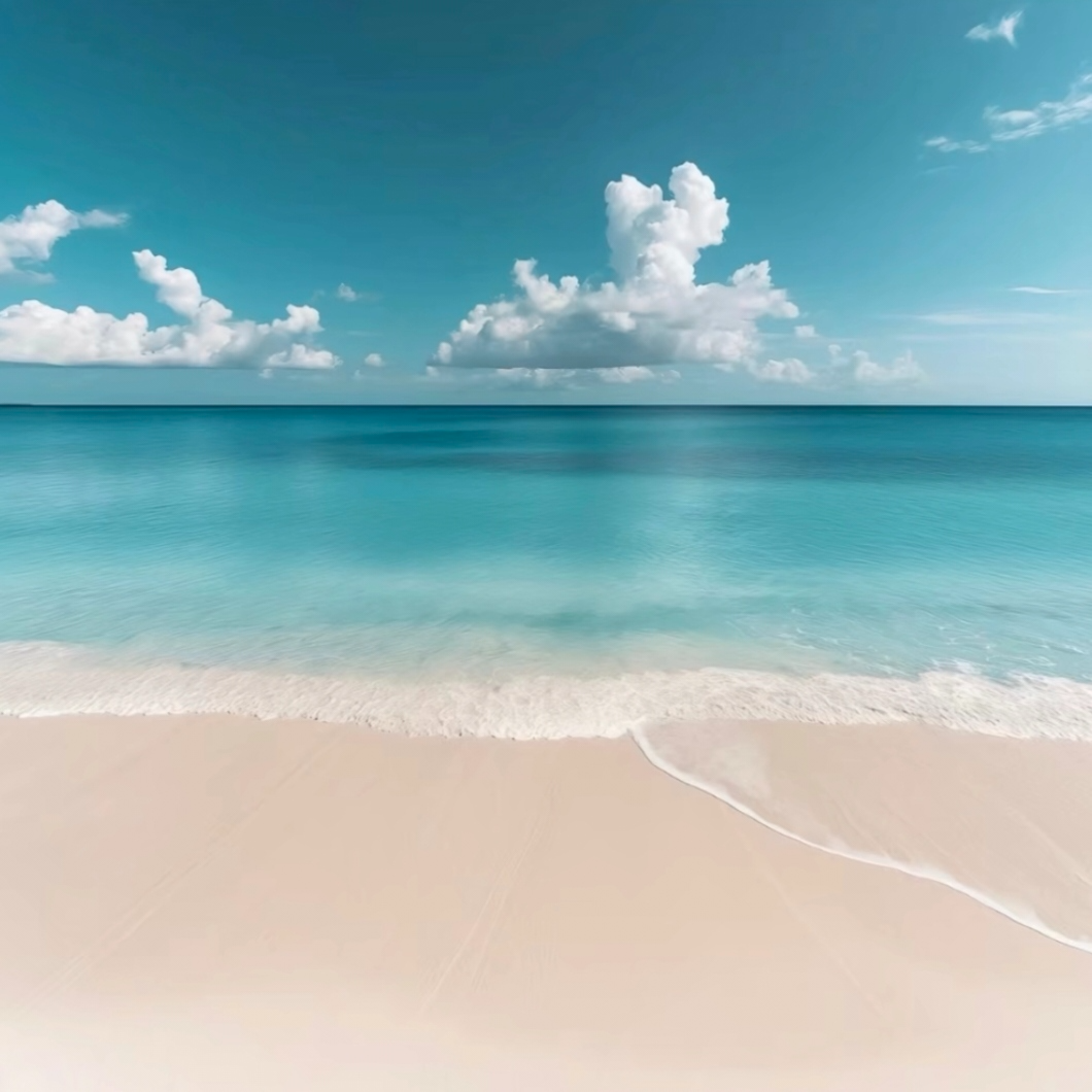 Start and end (开始和结束)