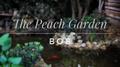 The Peach Garden专辑