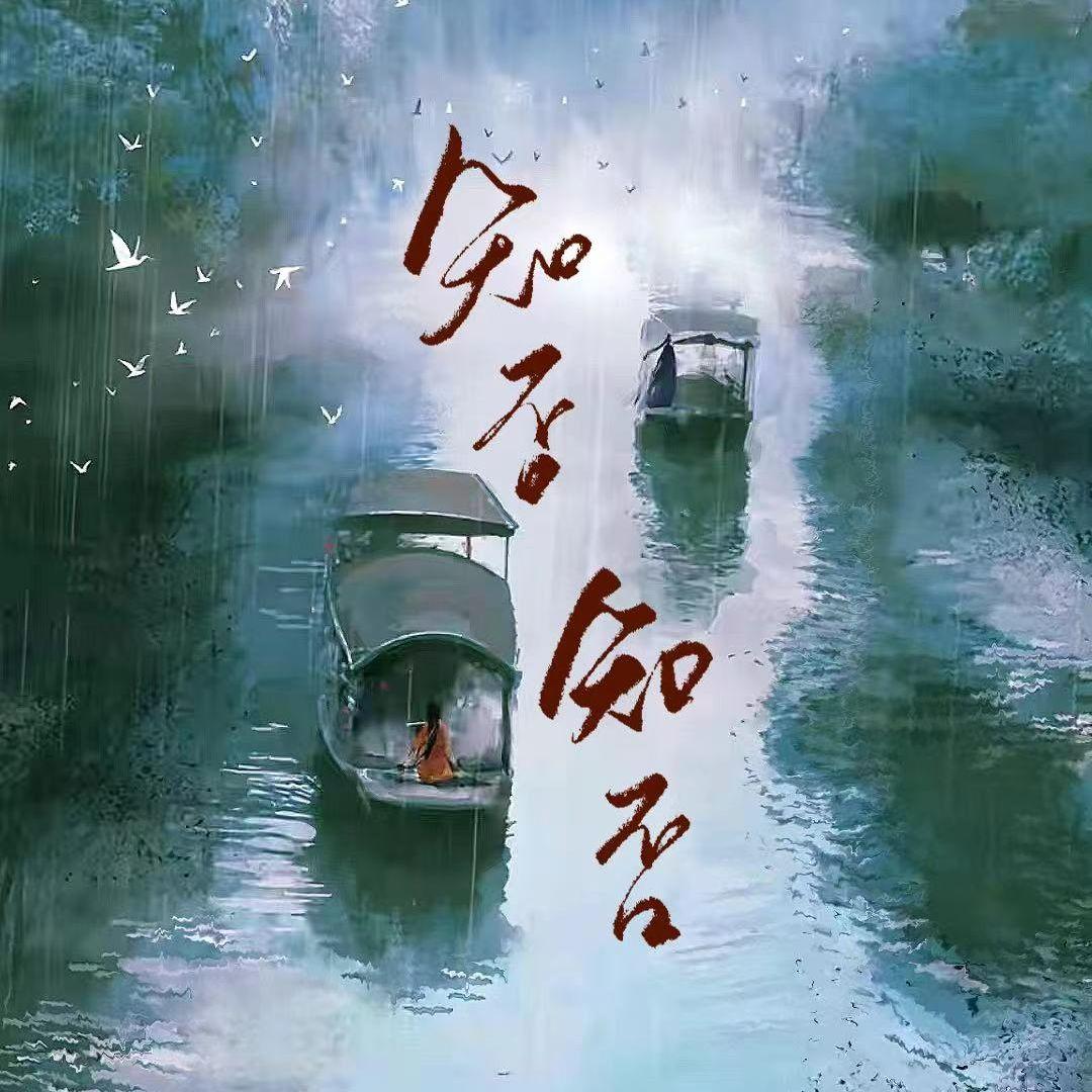 知否知否 应是绿肥红瘦