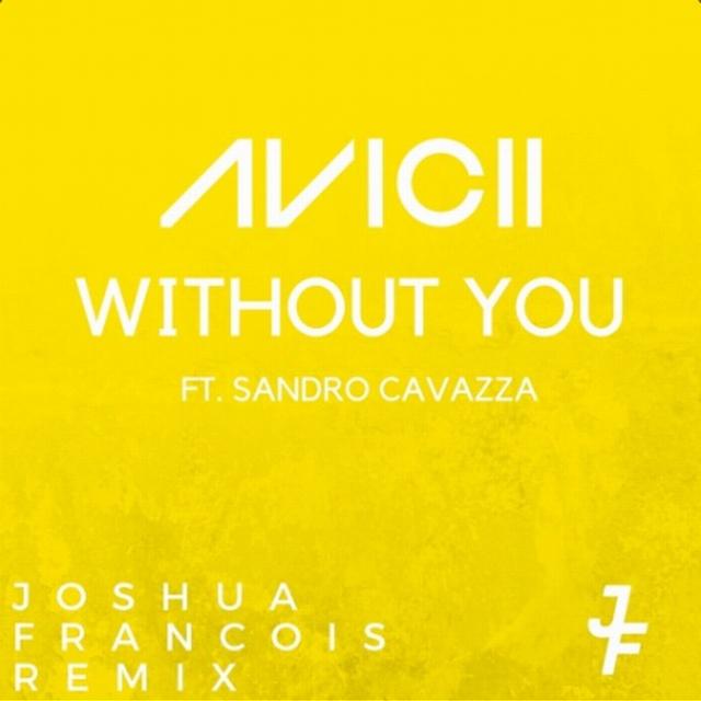Without You (Joshua Francois Remix)