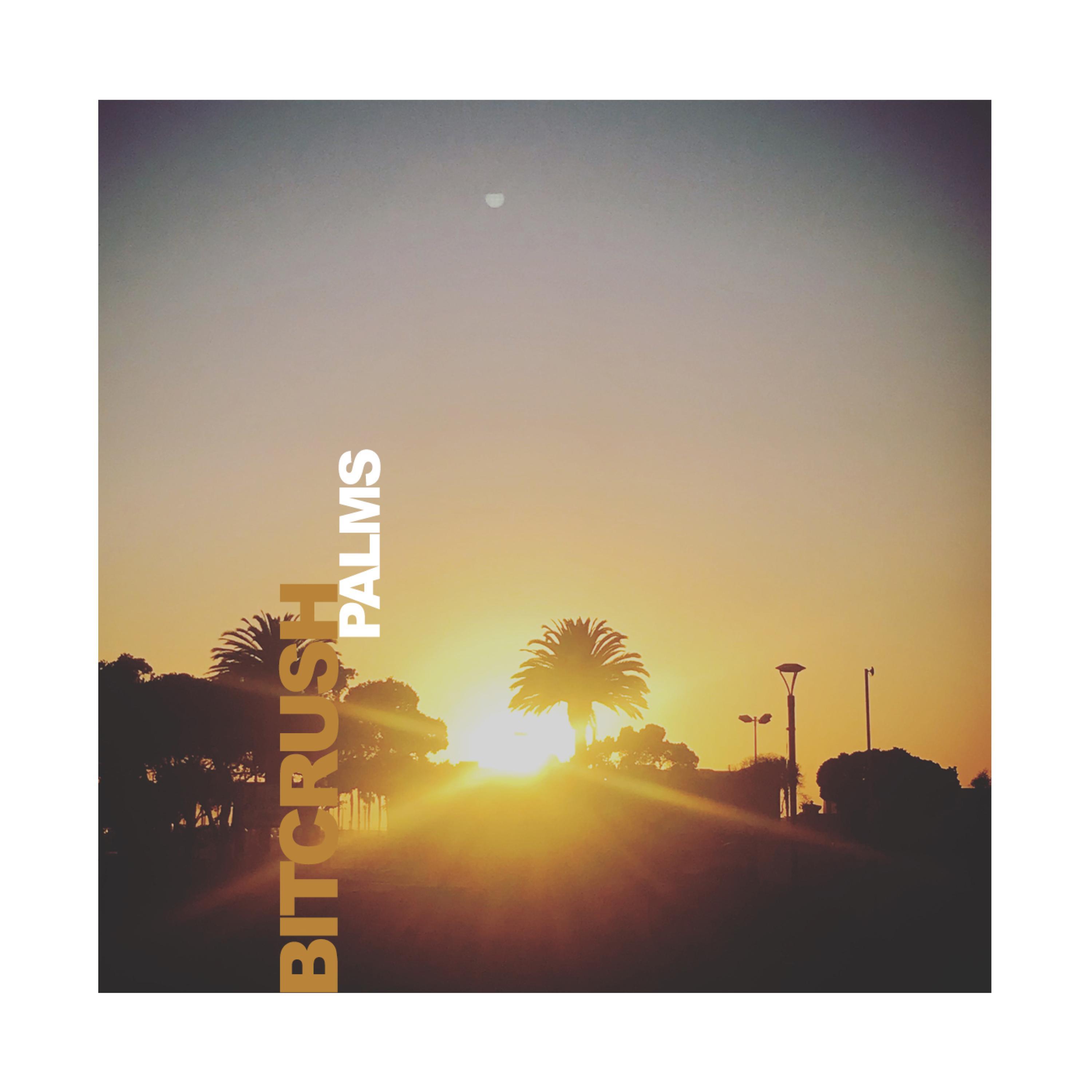Palms