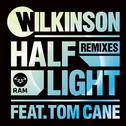 Half Light (Remixes)专辑