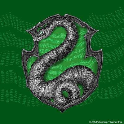 斯莱特林•Slytherin丨优雅的野心家