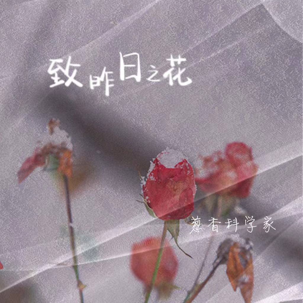 葱香科学家（王悠然） - 致昨日之花（伴奏）