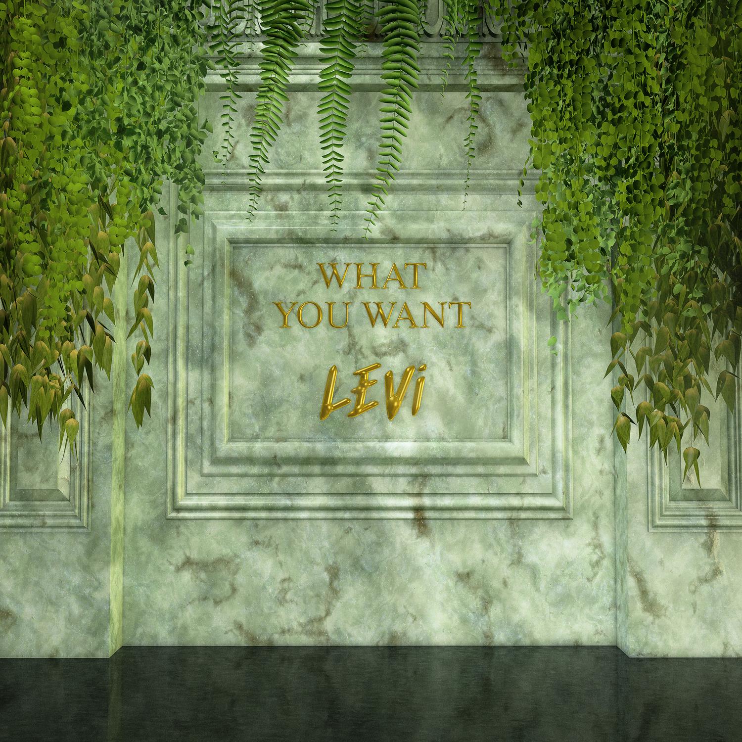 What You Want