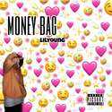 money bag