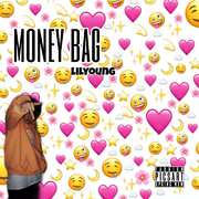 money bag