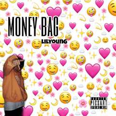 money bag