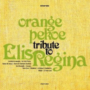 Tribute To Elis Regina