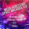 Mc Vitinho Br - Mega Agressivo Space Malvada 3.0