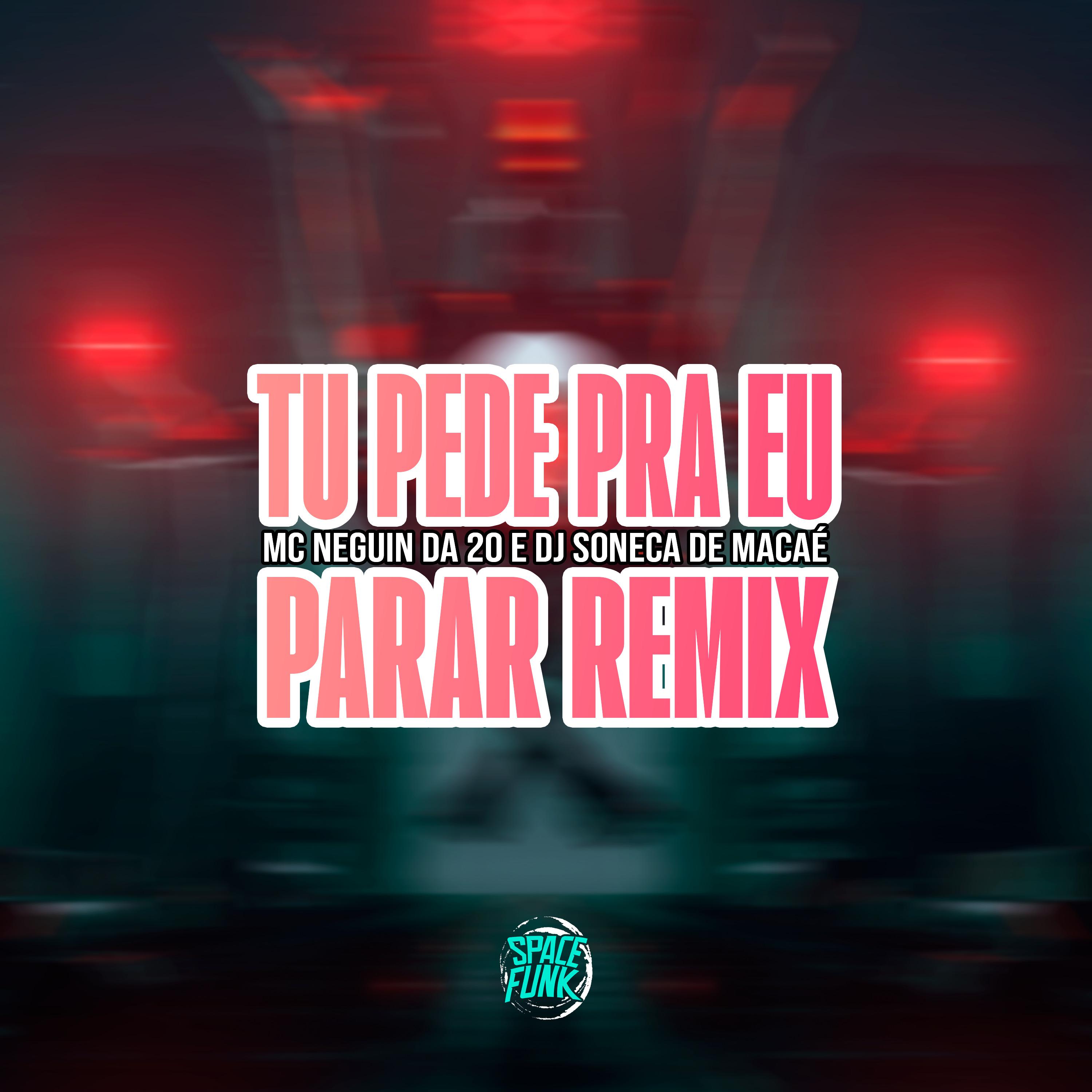 MC Neguin da 20 - Tu Pede pra Eu Parar (Remix)