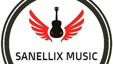 SanelliX