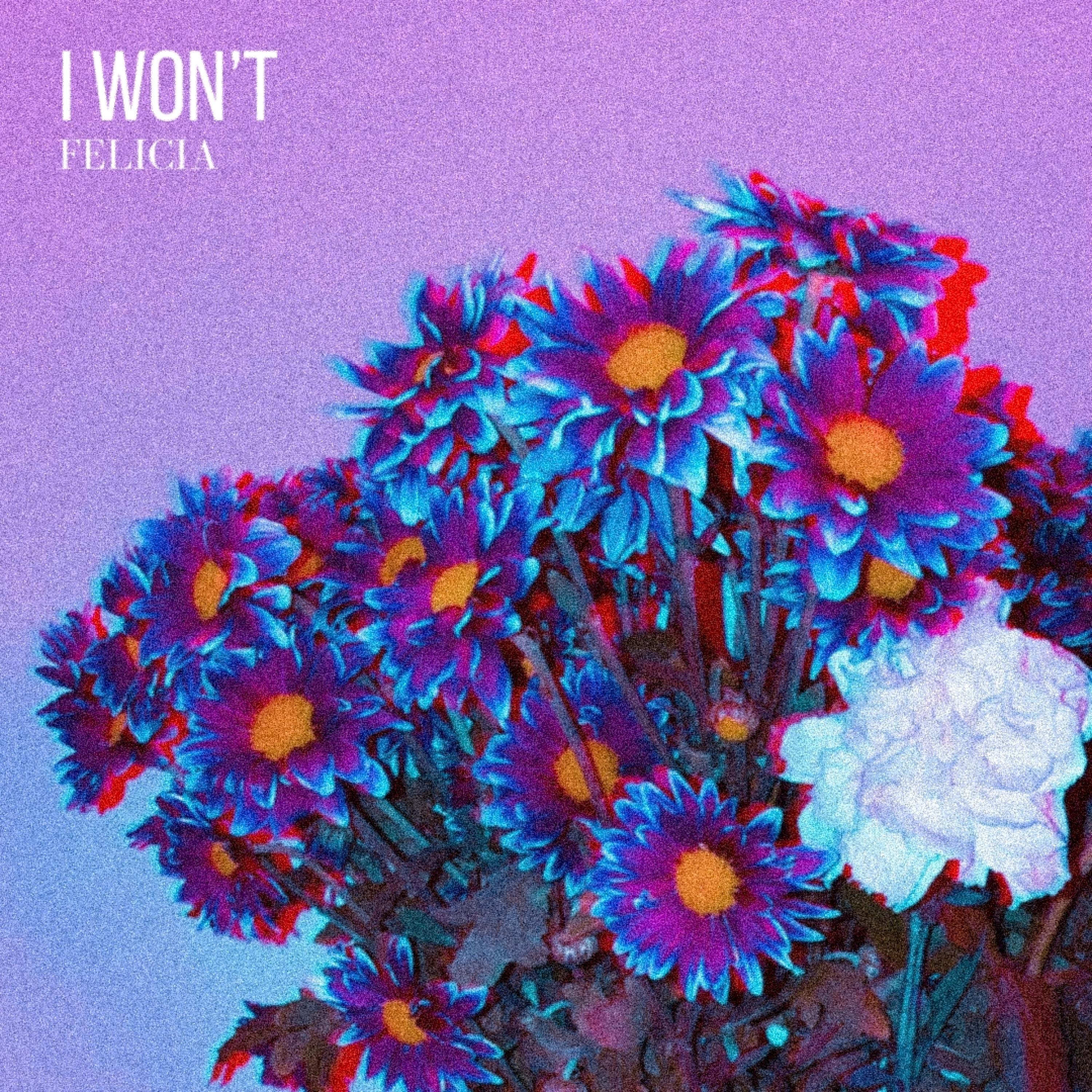 I Won't