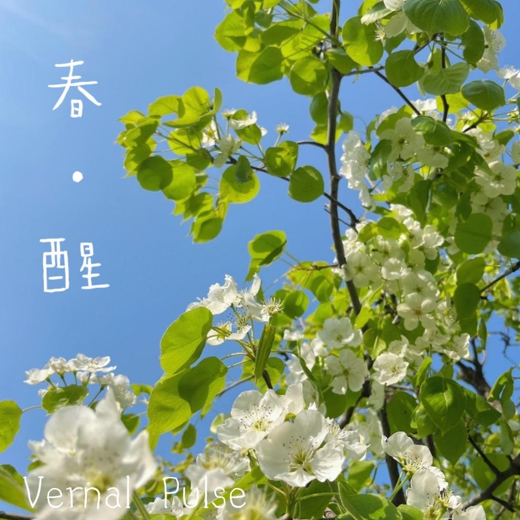 Vernal Pulse（春醒）