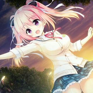 Galgame | 2017年选集