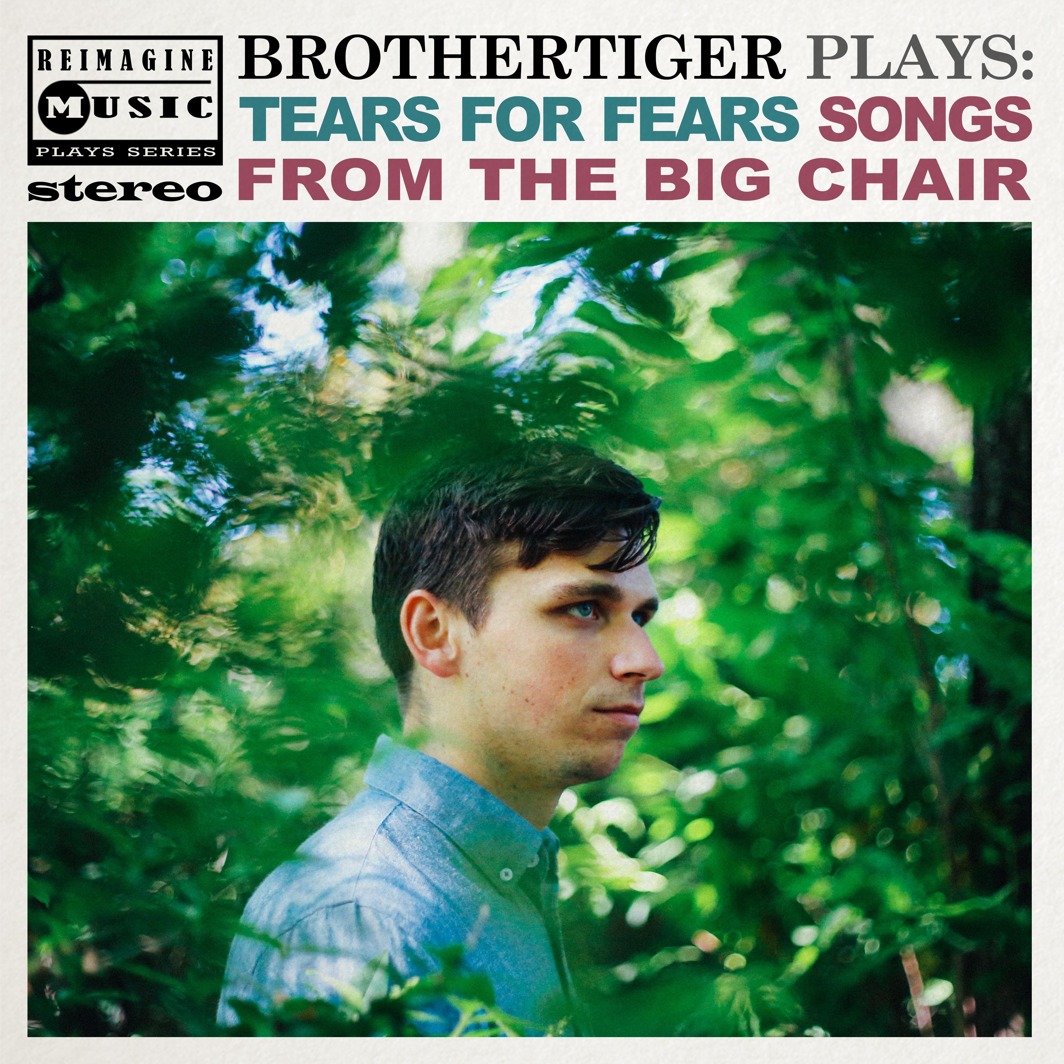 Brothertiger Plays: Tears for Fears' Songs from the Big Chair专辑