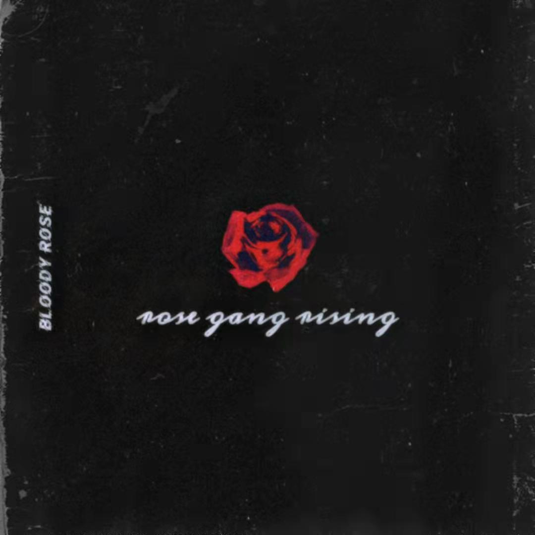 Rose Gang Mixtape（pt2）