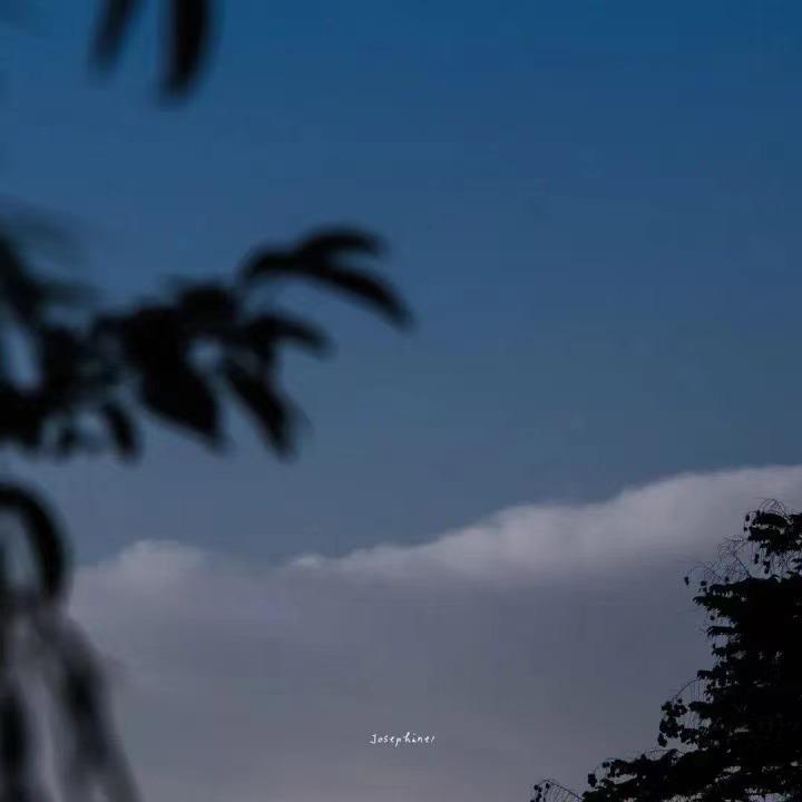 ２０２１１２３１