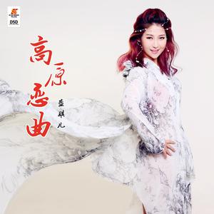 蓝琪儿-高原恋曲(DJ苏平版) 伴奏