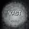 VAST(Single)专辑