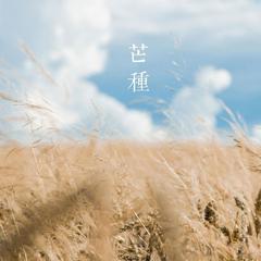 芒种（翻自 音阙诗听）