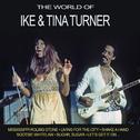 The World of Ike & Tina Turner (Live)专辑