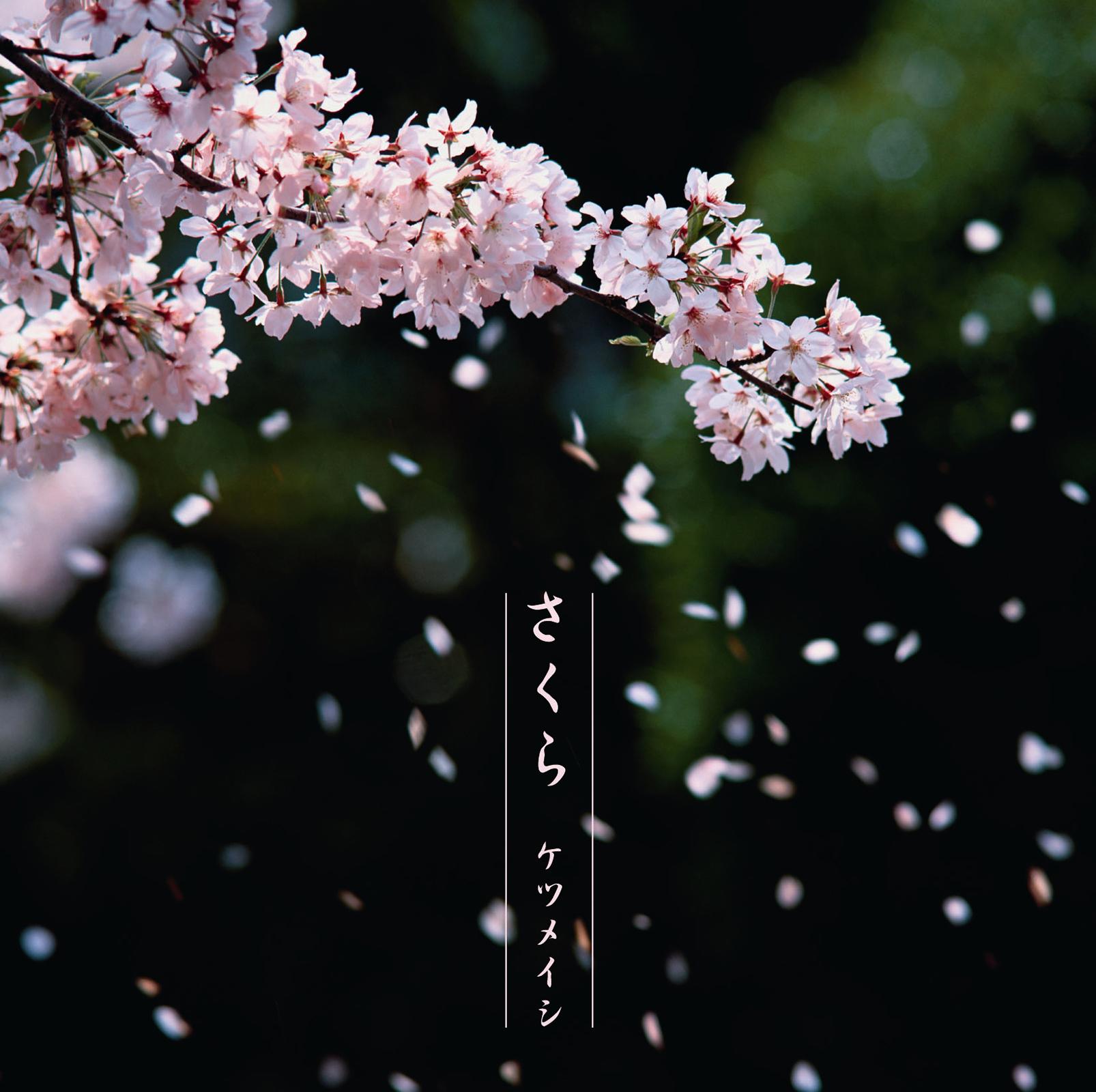さくら