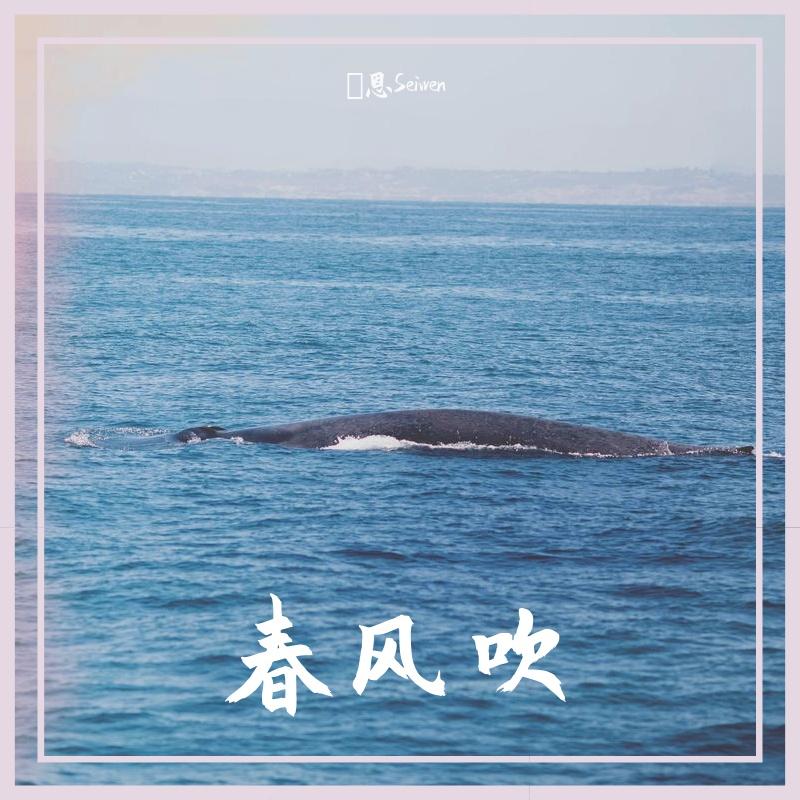 春风吹