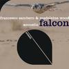 Francesco Sambero - Falcon (Acoustic)