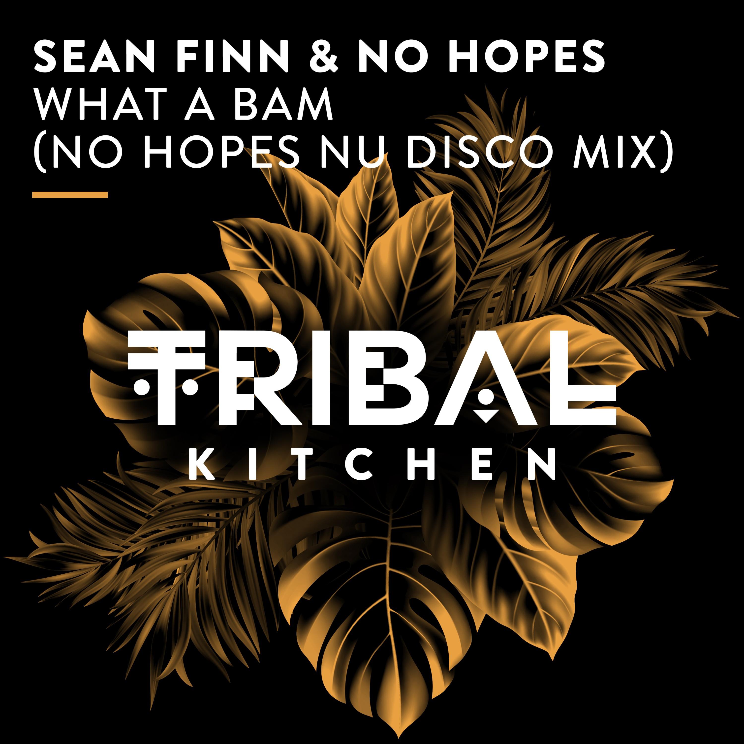 What a Bam (No Hopes Nu Disco Mix)