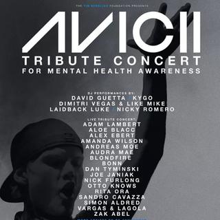 AVICII tribute concert(AVICII纪念音乐会)