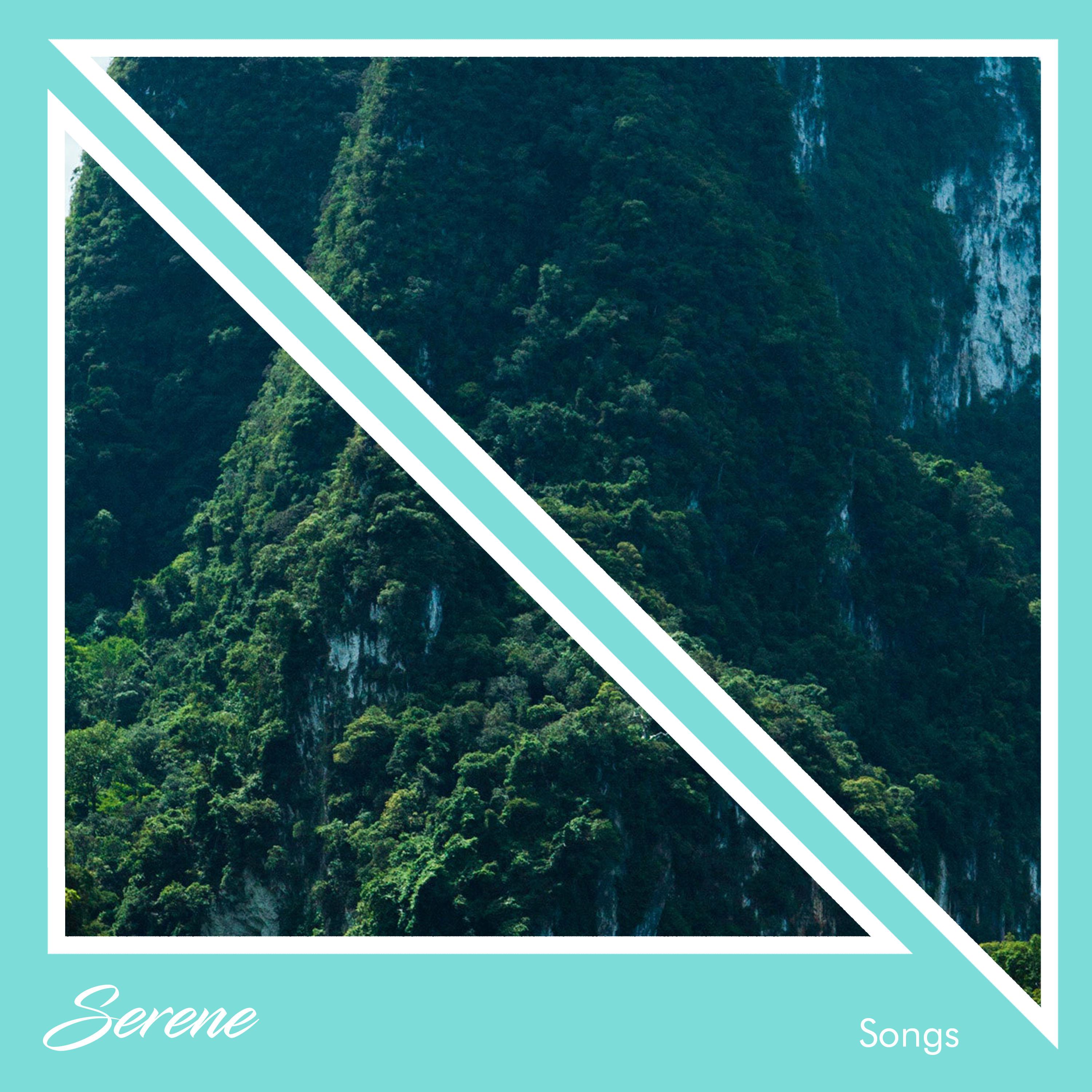 #17 Serene Songs to Relax and Unwind专辑