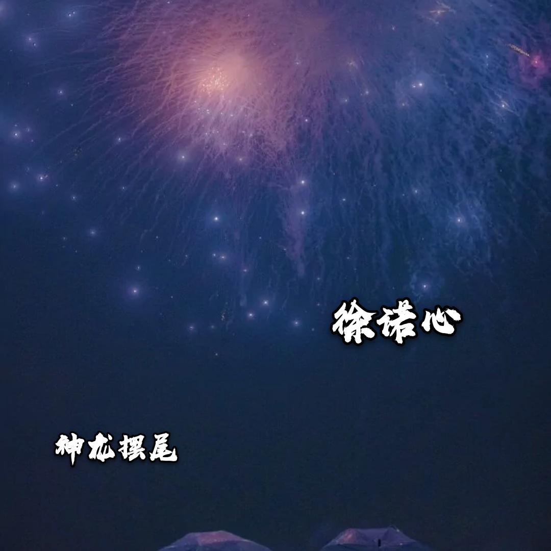 徐诺心《美人计(dj版》