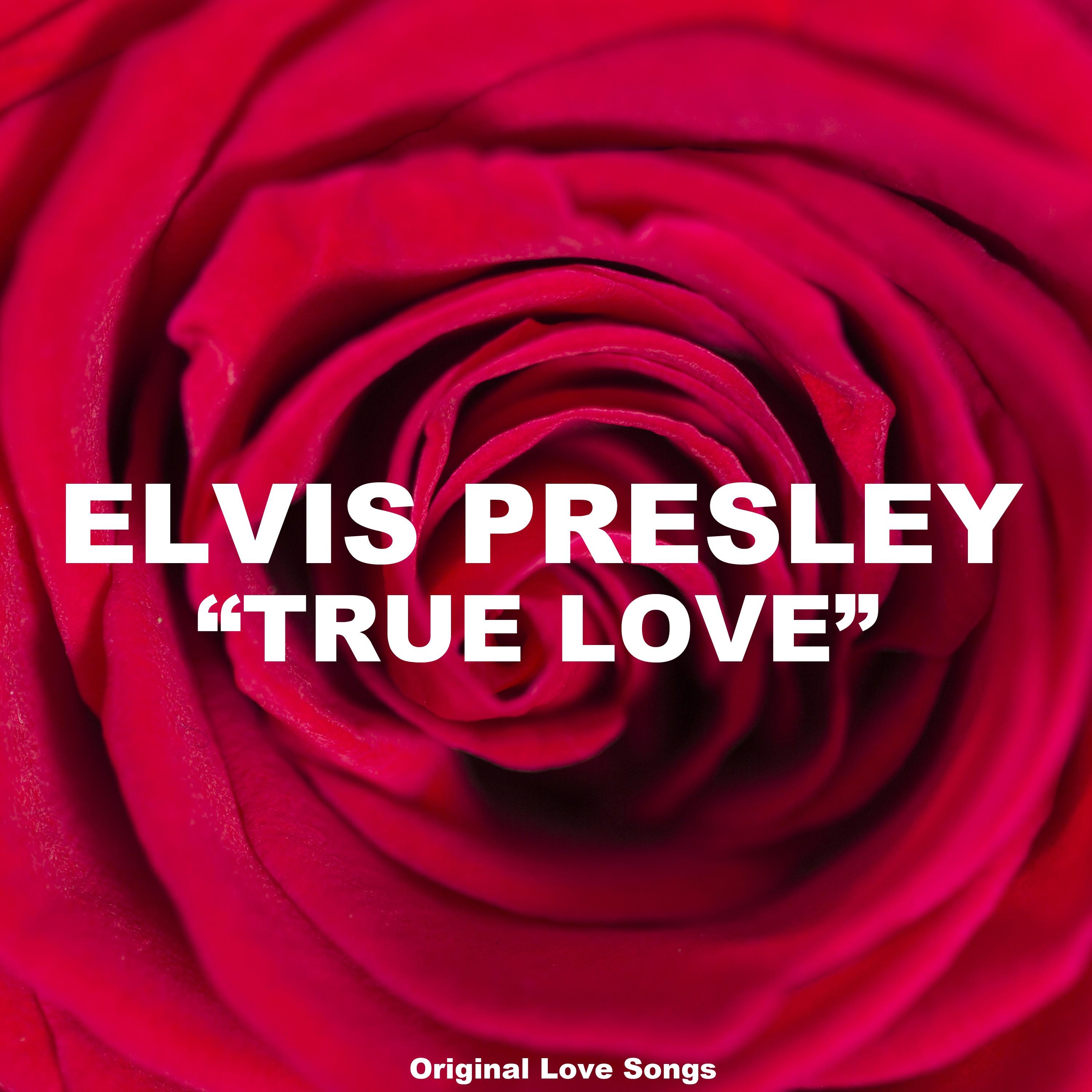 True Love (Original Love Songs)