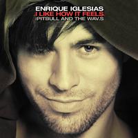 原版伴奏   I Like How It Feels - Enrique Iglesias Feat. Pitbull & The Wav.s  （有和声 高清）