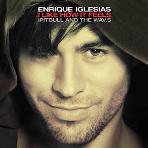 Enrique Iglesias & Pitbull - I Like How It Feels (Pre-V) 带和声伴奏 （升2半音）