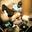 Chane_Wang