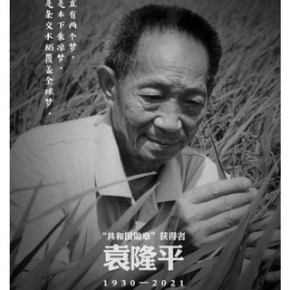 “禾下乘凉梦”
