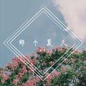 那个夏天专辑