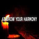 65 Grow Your Harmony专辑