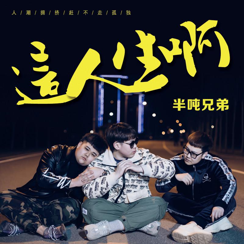 这人生啊 (DJHouse版)