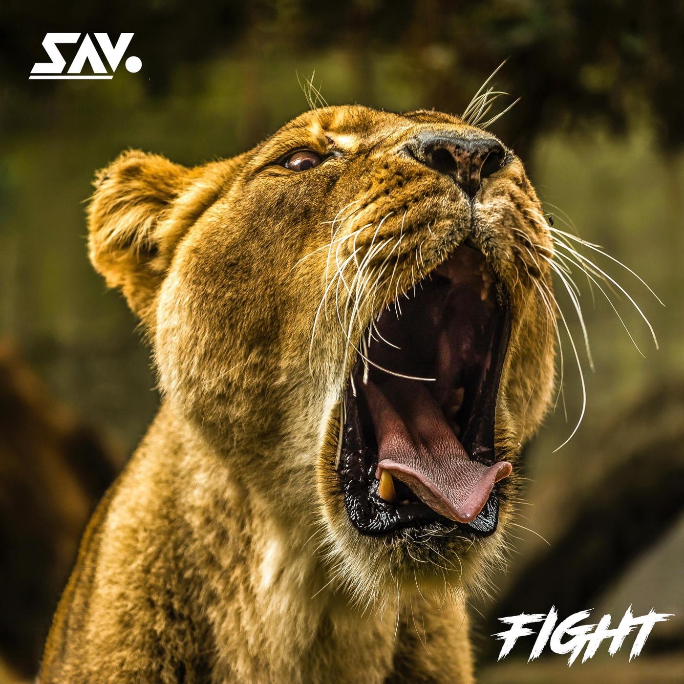 Fight